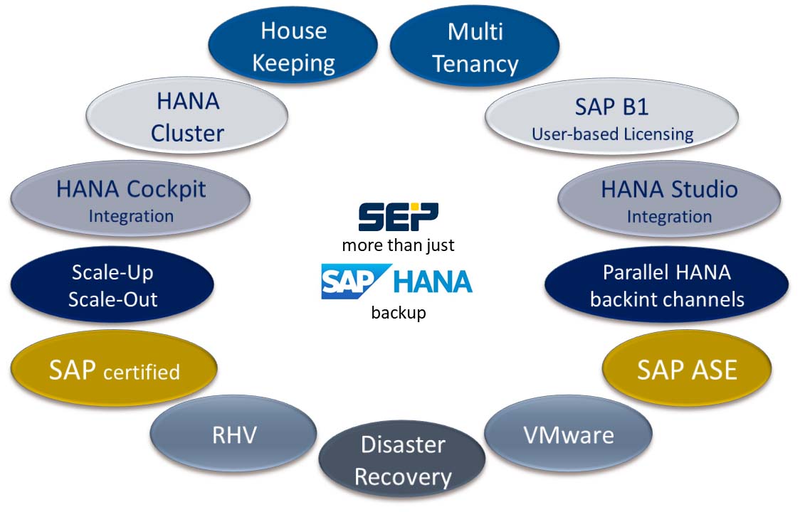SEP more than just SAP HANA backup illustrated